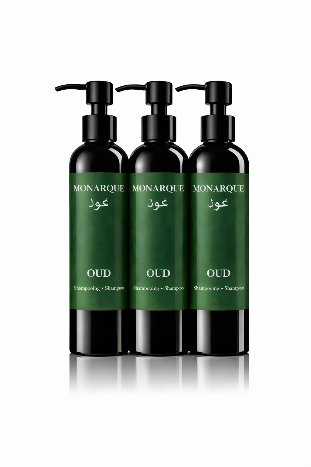 Pack Shampooing x3
